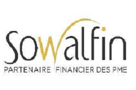logo sowalfin